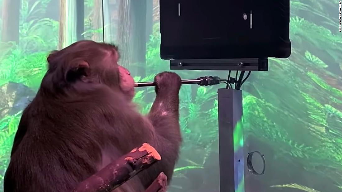 Elon Musk's Neuralink claims monkeys can play Pong using just their