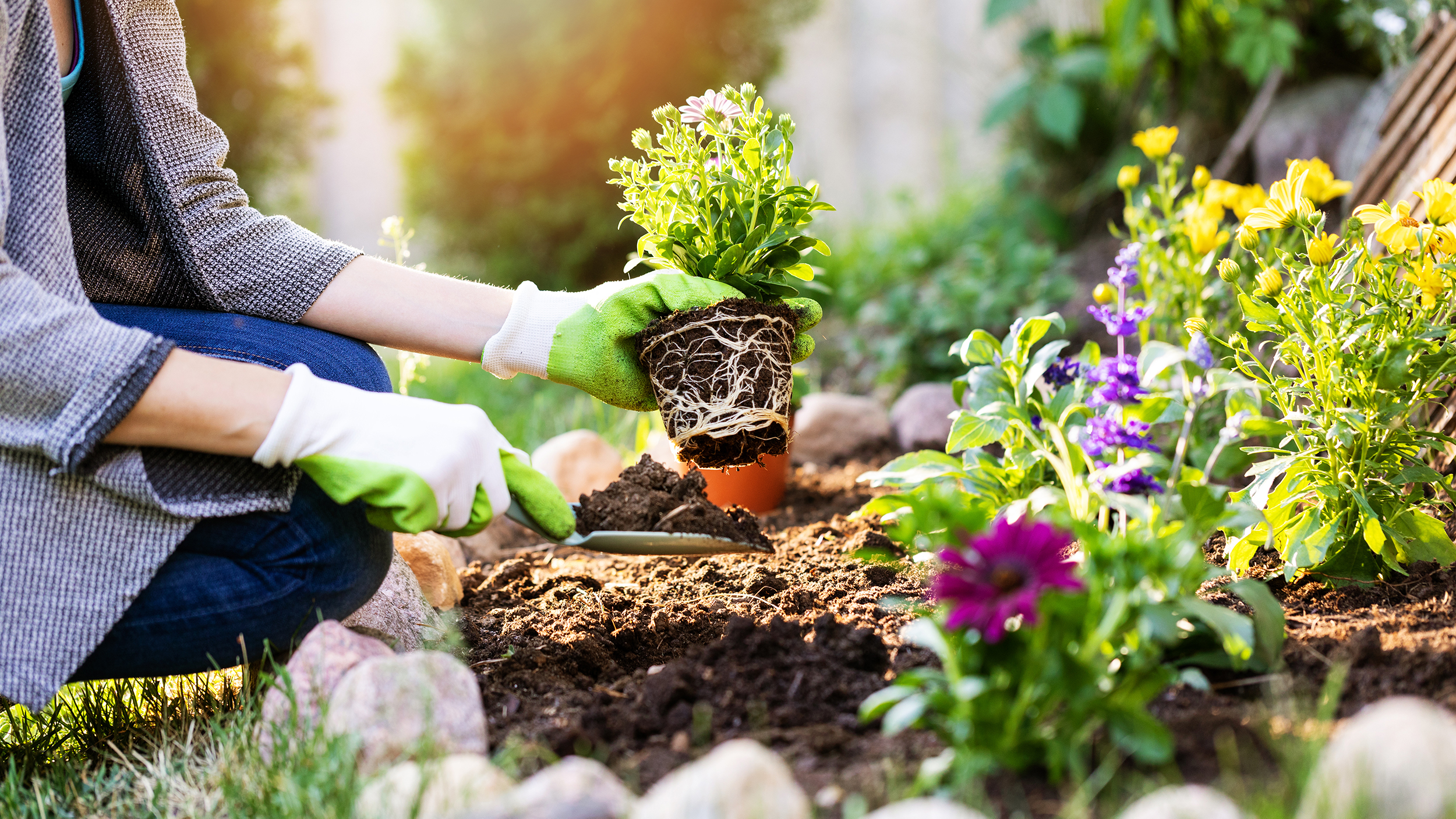 Gardening ideas for beginners | CNN Underscored