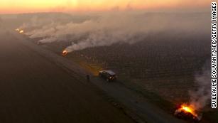 At dawn on April 7, smoke rises from fires lit in the Loire Valley's Vouvray vineyard to protect them from frost. 