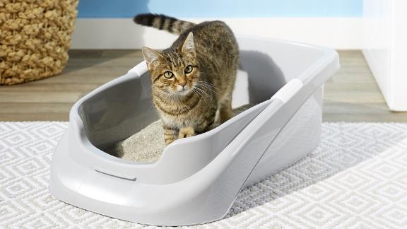 Lucky Champ Cat Litter Pan