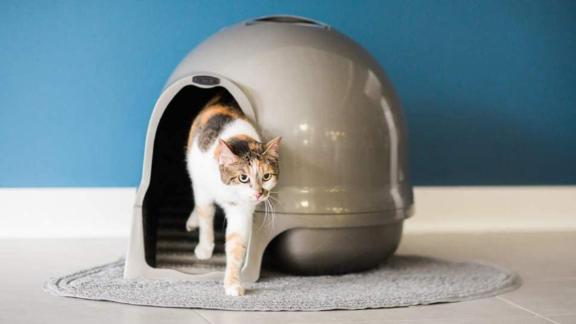 Petmate Booda Dome Clean Step Litter Box 