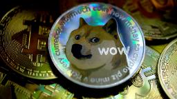 210414121716 doge coin hp video 'Doge' meme shiba inu is seriously ill with leukemia