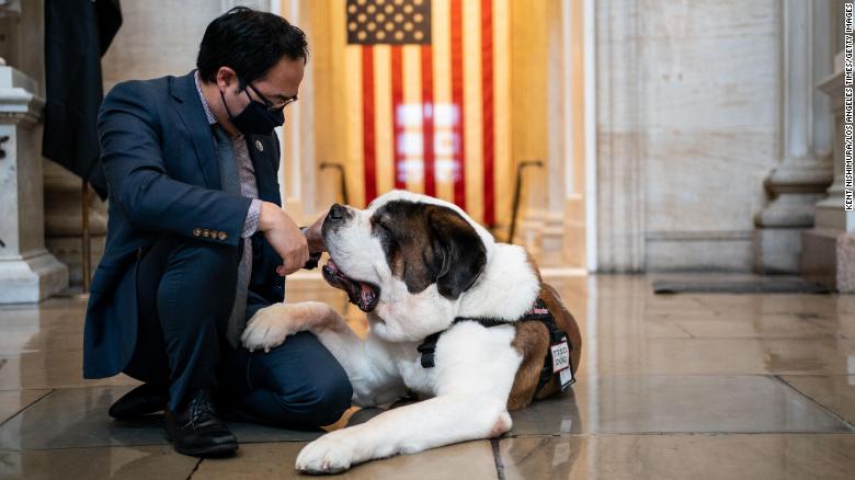 Comfort dogs find bipartisan support on Capitol Hill