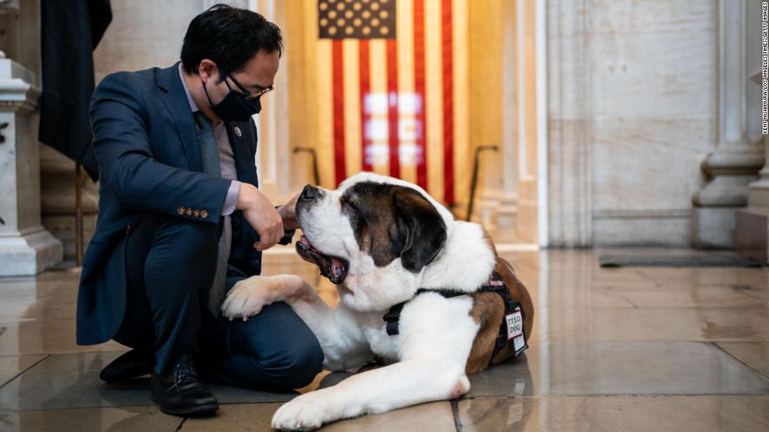comfort-dogs-find-bipartisan-support-on-capitol-hill
