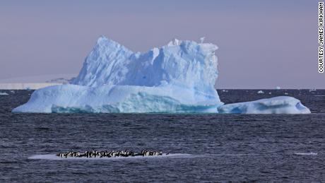 Antarctica, the world&#39;s fifth largest continent, is home to millions of seals and seabirds.