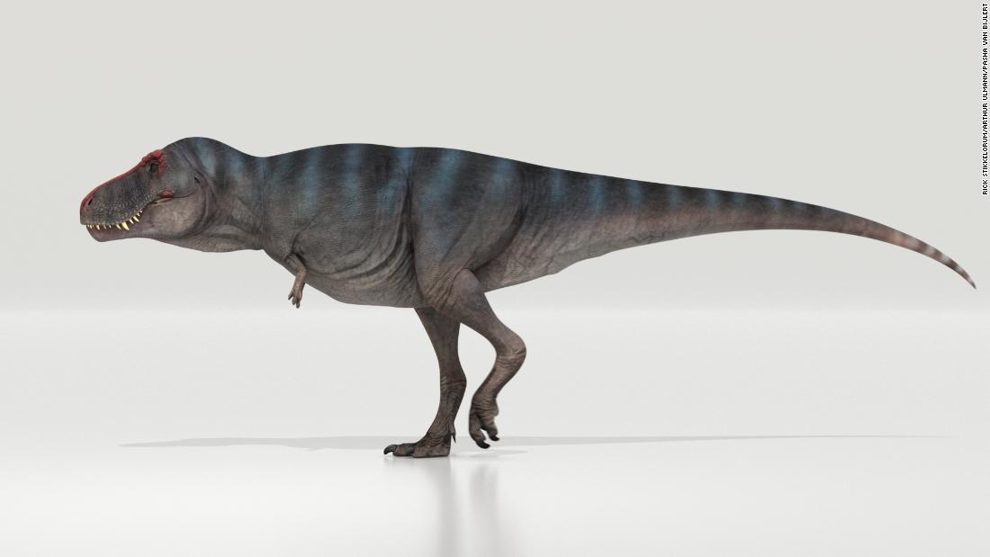 The Maximum Number Of T. Rex To Ever Walk The Earth Was 1.7