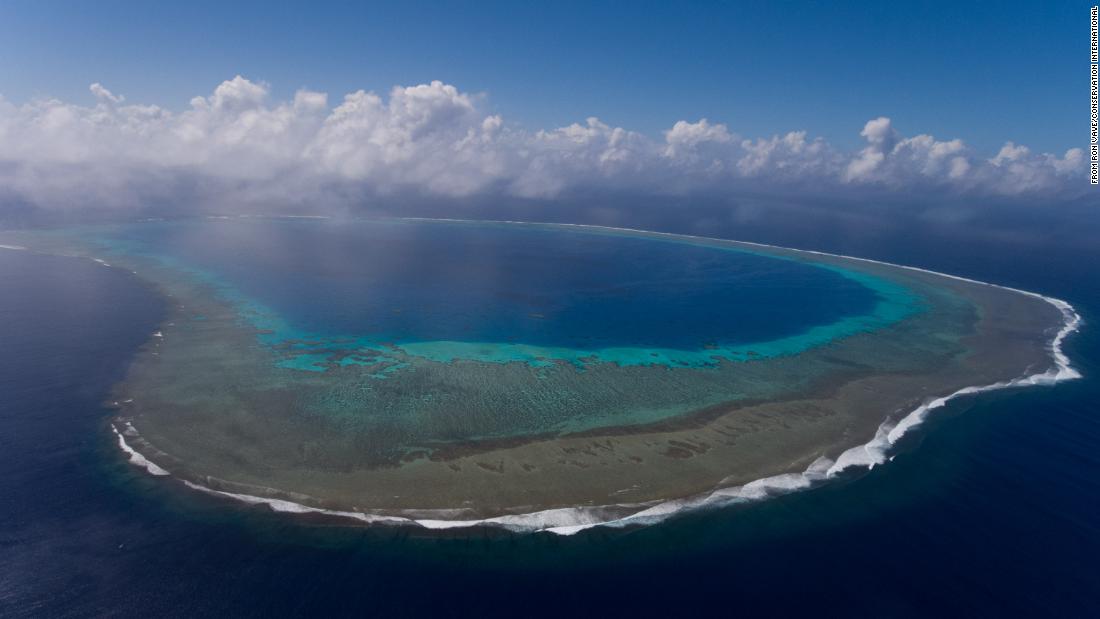 Blue Nature Alliance aims to restore 7 million square miles of ocean in five years