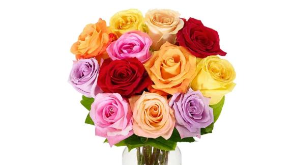 1 Dozen Rainbow Roses