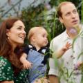 15 will kate gallery update