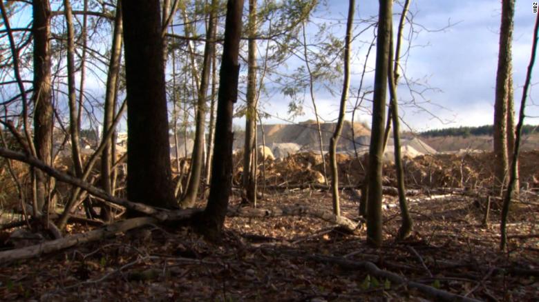 A gender reveal party in a New Hampshire quarry triggered an explosion that shook nearby homes. 