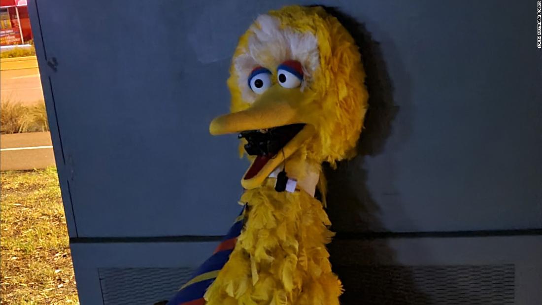 Police hunting 'Big Bird Bandits' who allegedly stole 'Sesame Street' costume make arrests