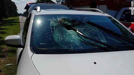 A turtle crashed through the windshield of a car on Interstate 95 near Port Orange, Florida.