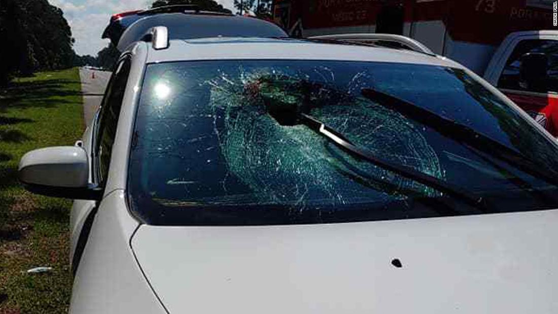 Turtle crashes through a car's windshield, sending a woman to the hospital