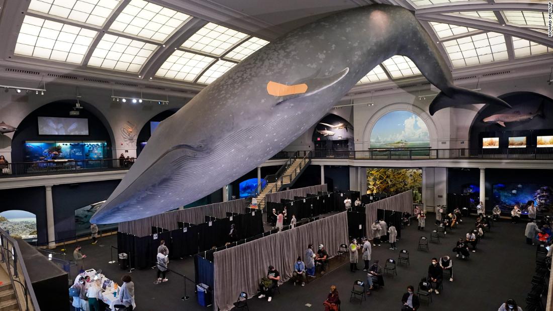 People sit in an observation area after receiving Covid-19 vaccines at the American Museum of Natural History in New York. Appointments are no longer necessary at any of the vaccination sites run by the city.