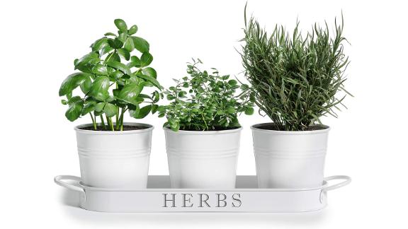 Barnyard Designs Herb Pot Planter Set