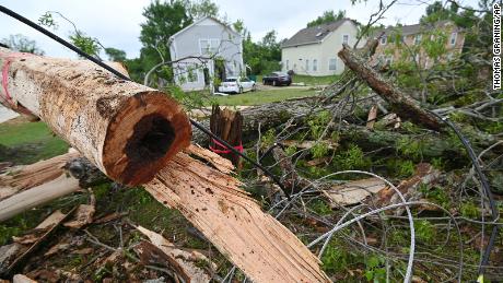 A damaged tree sits Monday on the side of Elvis Presley Drive in Tupelo, Mississippi.