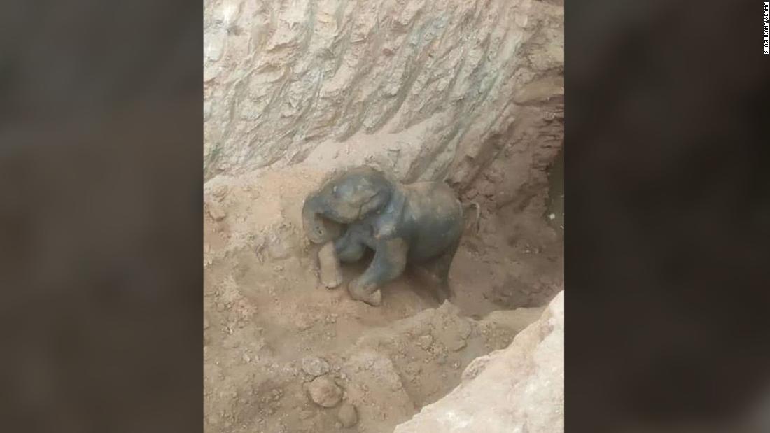 Baby elephant rescued after falling into village well 30 feet deep