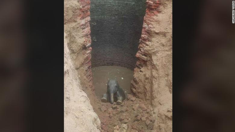 A baby elephant was rescued from a well in a village in India's Jharkhand state.
