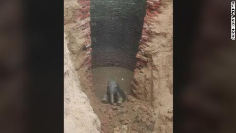 A baby elephant was rescued from a well in a village in India&#39;s Jharkhand state.
