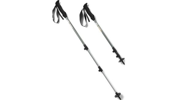 REI Co-Op Trailbreak Trekking Poles