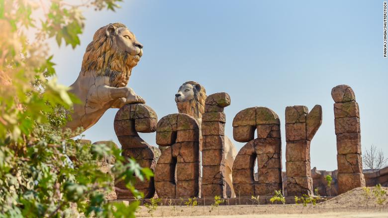 Two lions test positive for Covid-19 at Indian safari park