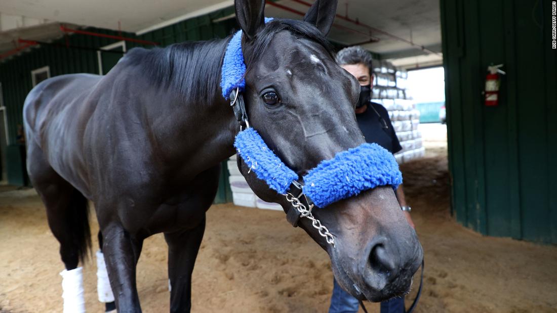 Medina Spirit cleared to race in the Preakness Stakes after passing drug tests