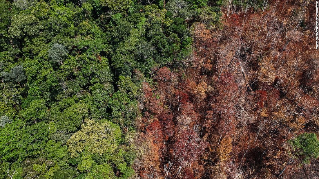 Amazon rainforest drought and deforestation could lead to bad fire