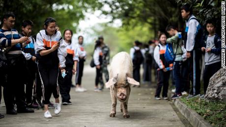 Zhu Jianqing walks with school children during a commemoration ceremony on April 25, 2018. 