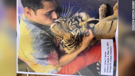 Victor Hugo Cuevas&#39; attorney Michael Elliott provided photos of Cuevas and the missing tiger named India. He said the cat would visit Cuevas a couple times a month.