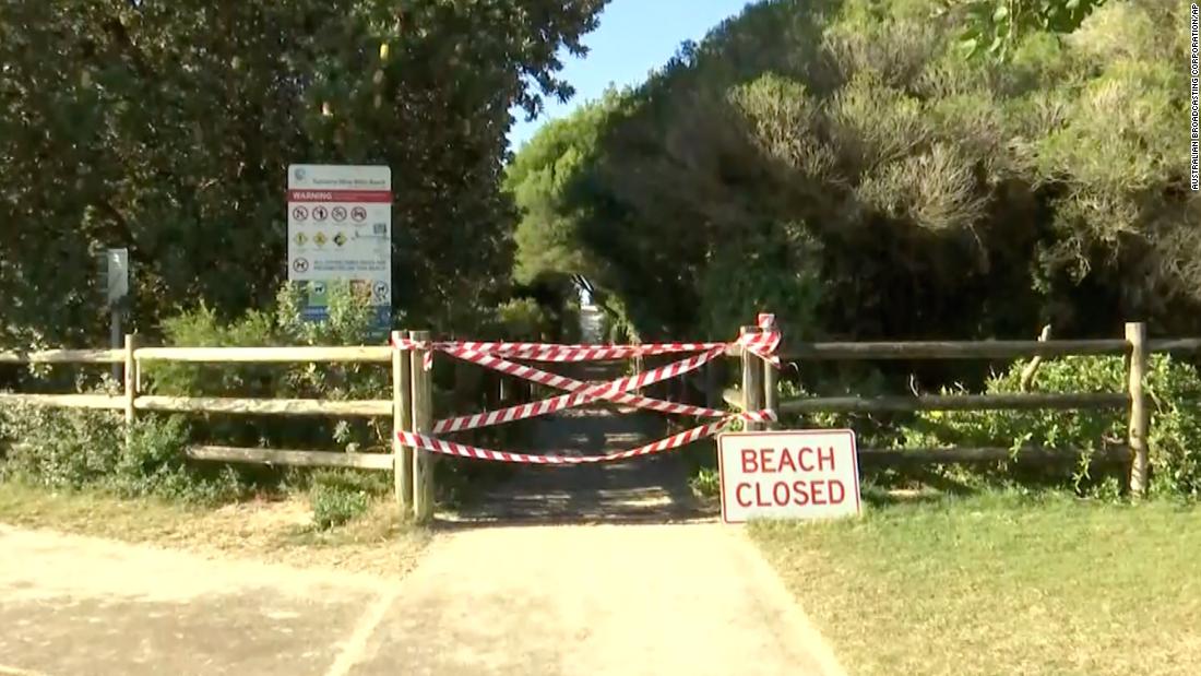 Surfer dies after being bitten by shark in Australia