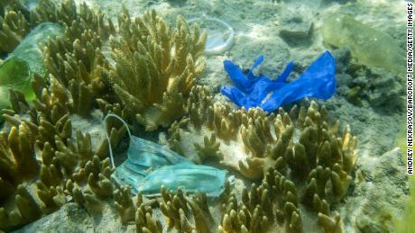 Face masks and plastic debris are seen on the bottom of the Red Sea in October.