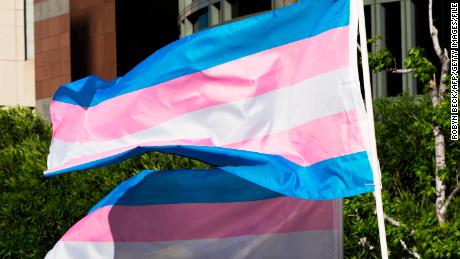 Trans pride flags flutter in the wind at a gathering to celebrate  International Transgender Day of Visibility.
