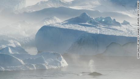 Whales swim among icebergs near Greenland. Scientists say a critical ocean circulation in the North Atlantic is showing signs of instability, which could have major implications for Earth&#39;s climate.