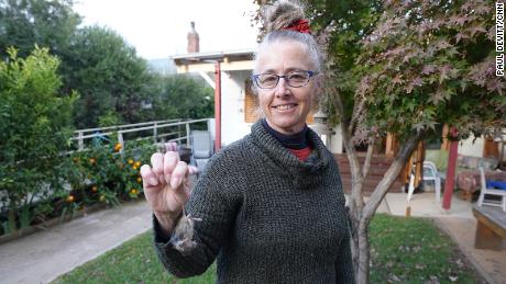 La femme de ménage Sue Hodge enlève les rats morts des pièges dans ses clients tous les jours dans la ville de Canowindra, à l'ouest de Sydney, NSW.