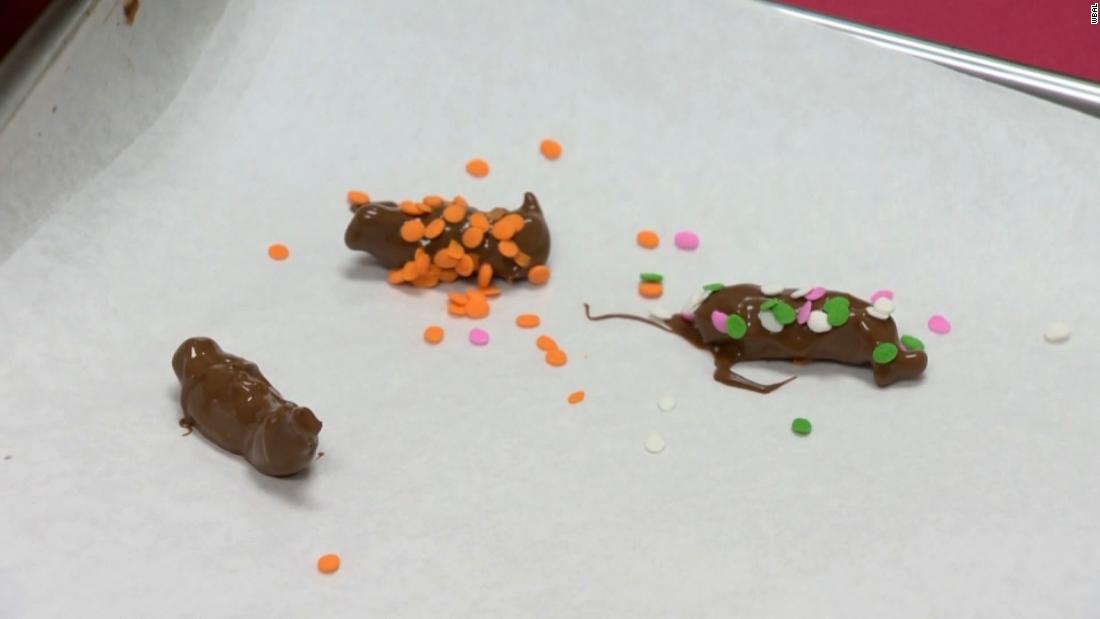 A Maryland candy company is cooking up chocolate covered cicadas