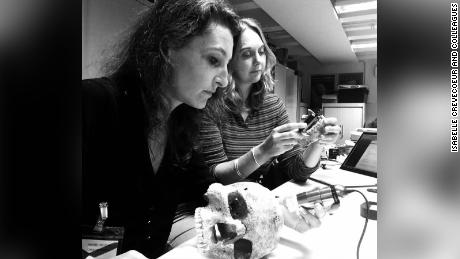 Isabelle Crevecoeur (right) and Marie‑Hélène Dias‑Meirinho (left)  study the Jebel Sahaba human remains in the Egypt and Sudan department of the British Museum.