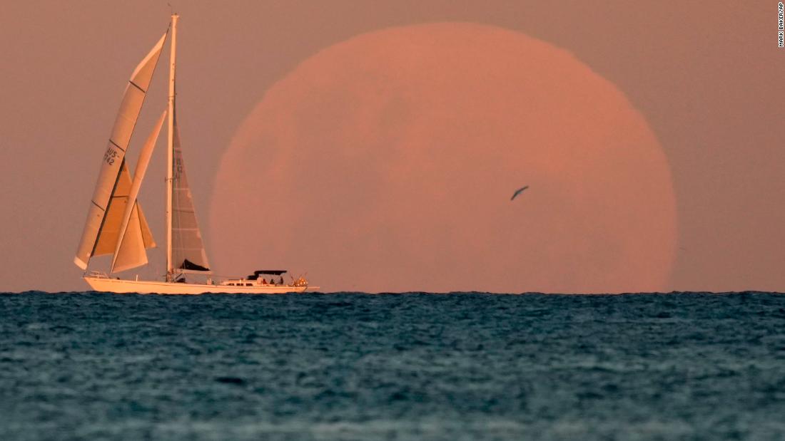 A yacht sails past the rising moon in Sydney on Wednesday, May 26.