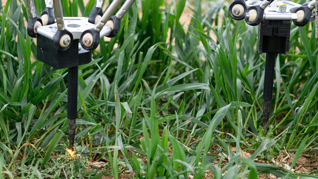 A Robot Is Killing Weeds By Zapping Them With Electricity - CNN