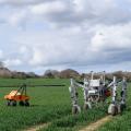 A Robot Is Killing Weeds By Zapping Them With Electricity - CNN