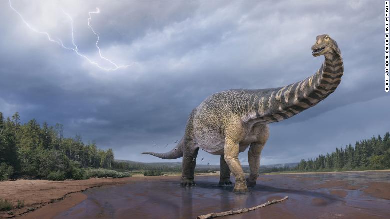 Model brings to life newly discovered species of dinosaur