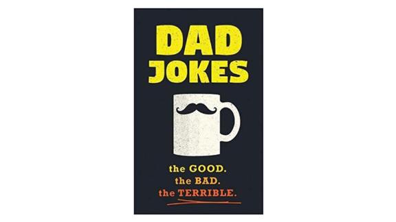 'Dad Jokes: Over 600 of the Best (Worst) Dad Jokes Around' by Jimmy Niro