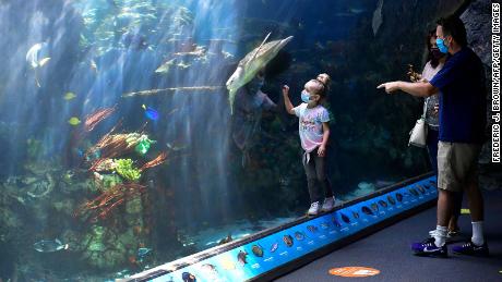 A child looks at a green sea turtle, at the Aquarium of the Pacific in Long Beach, California, on May 27.