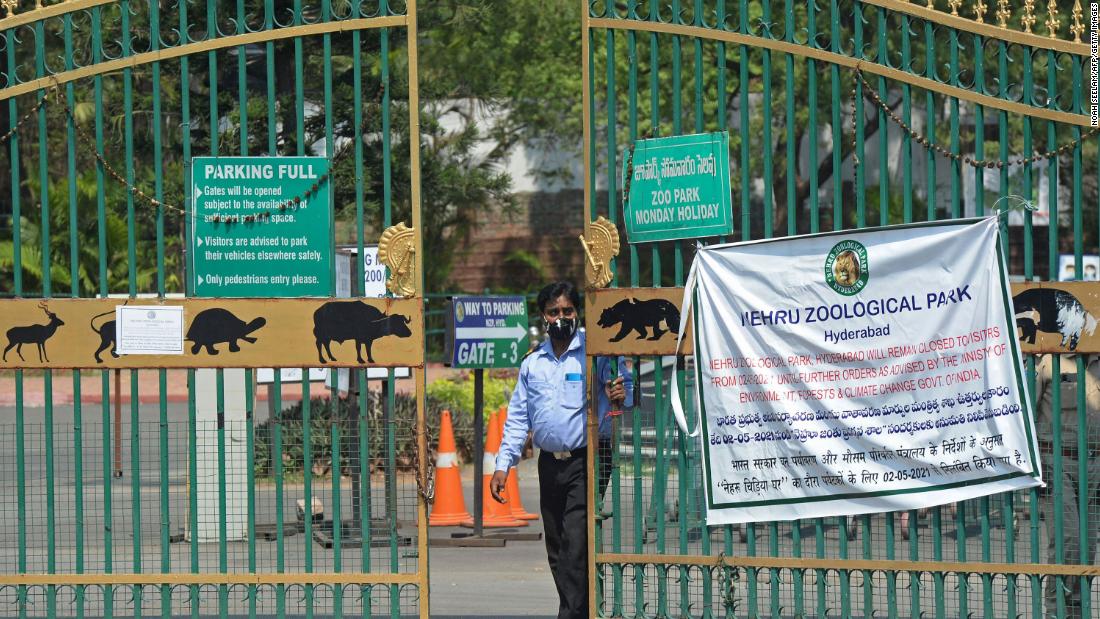 India closes all tiger reserves after Covid outbreaks in zoos