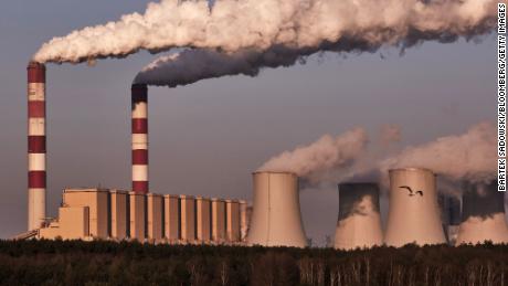 CEOs urge world leaders to take bolder climate action 