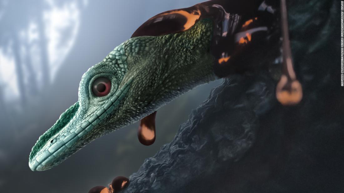 World S Smallest Dinosaur Is Actually A Weird Prehistoric Lizard Scientists Say Cnn