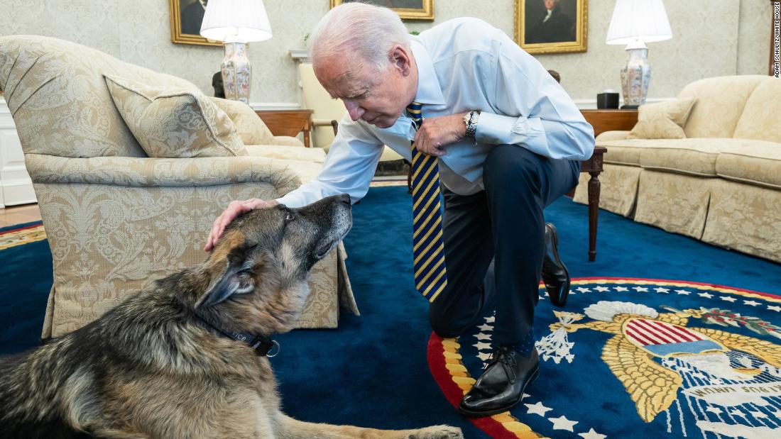 Champ The Bidens German Shepherd Has Died Cnnpolitics