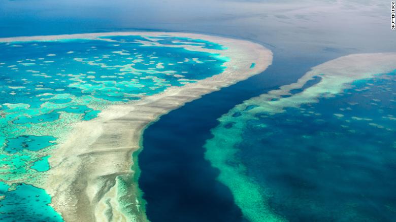 The Great Barrier Reef is the world's largest coral reef system and a vital marine ecosystem.