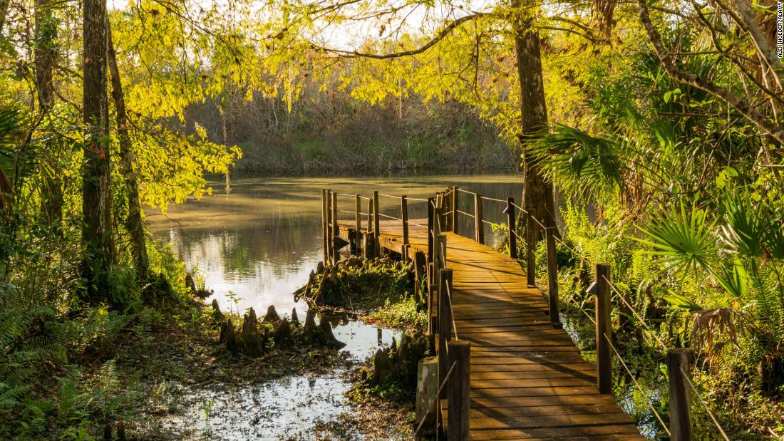 Escape To The Everglades: Unraveling The Secrets Of Fakahatchee Strand Preserve State Park