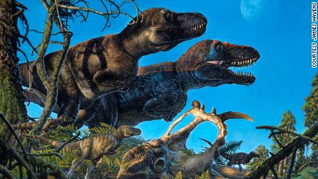  &#39;Polar dinosaurs&#39; may have given birth in the Arctic over 70 million years ago, study finds