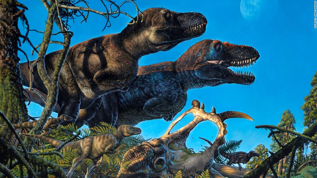 'Polar dinosaurs' may have given birth in the Arctic over 70 million years ago, study finds